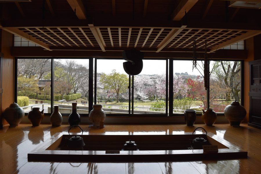 民芸館周辺の桜が見頃を迎えています