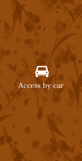 Access by car